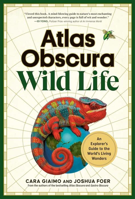 atlas obscura|atlas obscura switzerland.